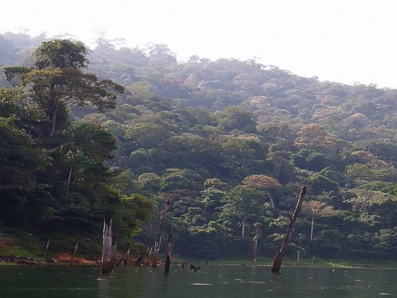 tasik kenyir