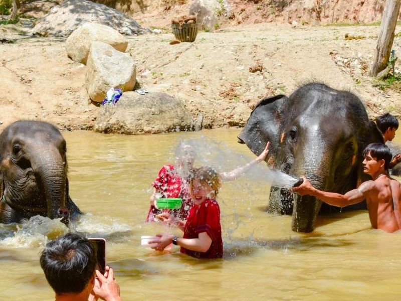 Elephant Family Phuket