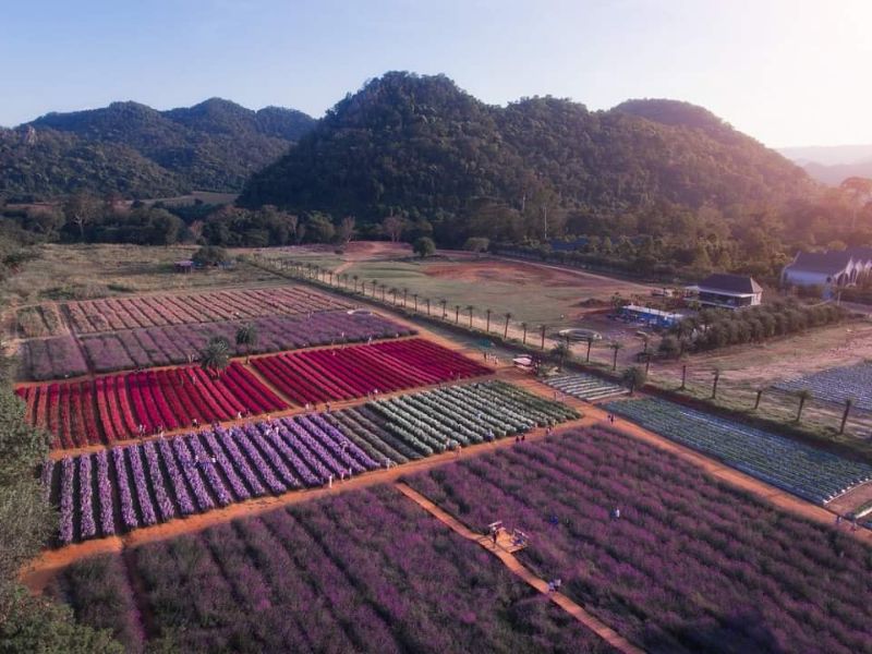 Hokkaido Flower Farm