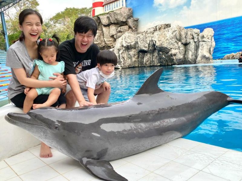 Marine Park - Dophin Photo Experience