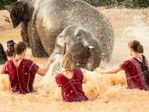 Mud bath with Elephant