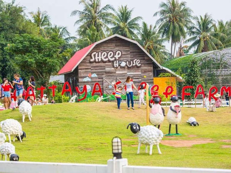 Pattaya Sheep Farm