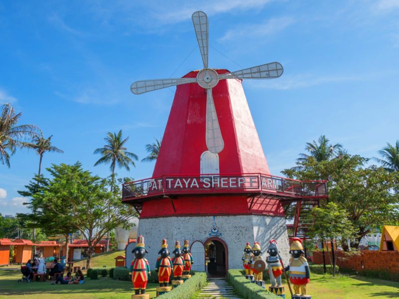 Pattaya Sheep Farm