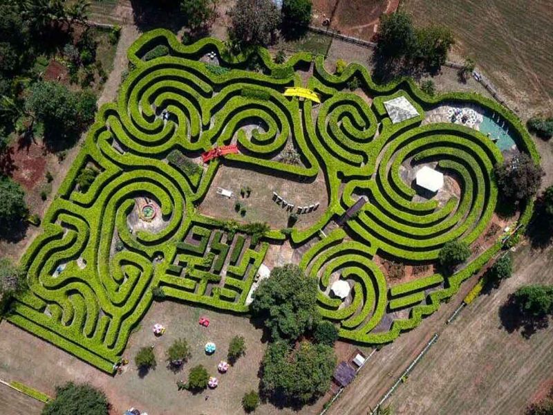 Pete Maze Art Garden