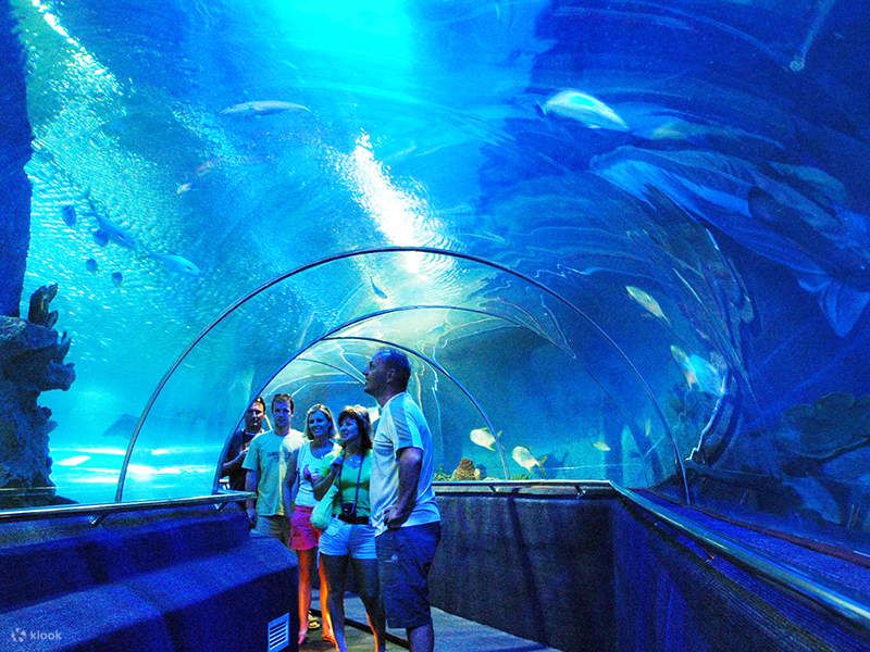 Tri Nguyen Aquarium