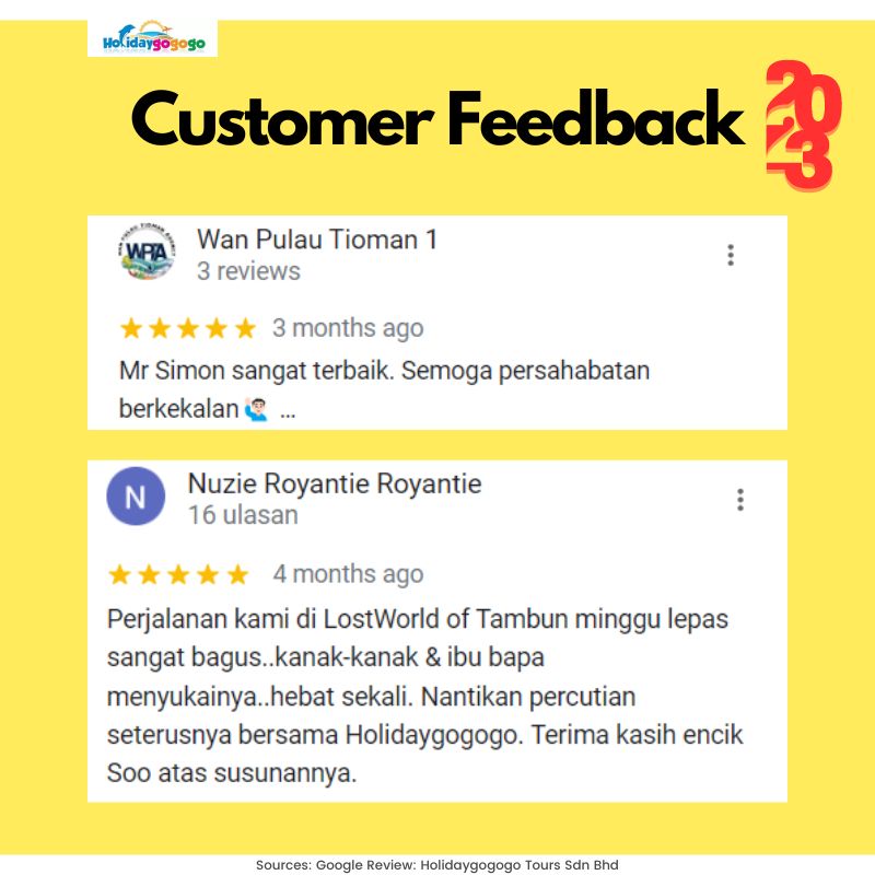holidaygogogo travel agency review