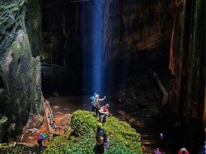 Gomantong Caves