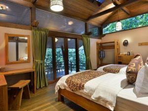 Sukau Rainforest Lodge Room