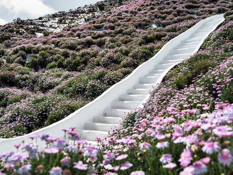 Cameron Highlands Flora Park