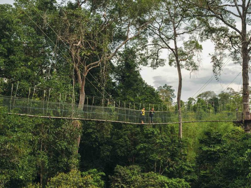 Canopy Walk in Taman Negara