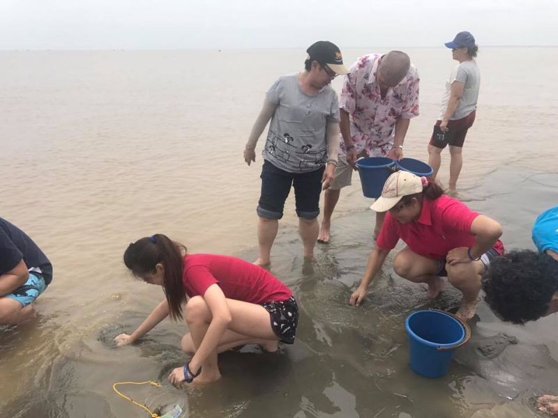 Clams Harvesting Experience