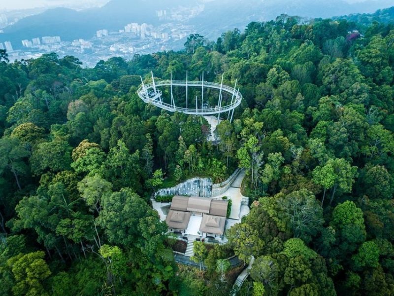 Curtis Crest Tree Top Walk