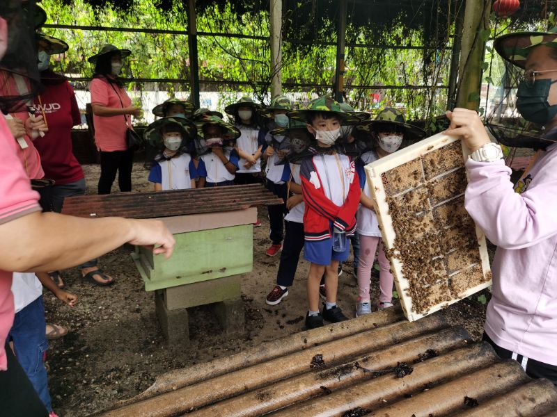 Mr. Honeybee Farm, Sitiawan