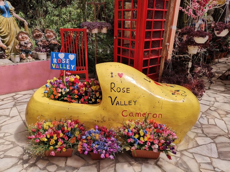 Rose Valley Cameron Highlands