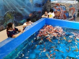 Sungai Burong Aquarium
