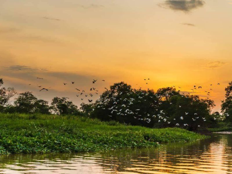 Teluk Intan River Cruise