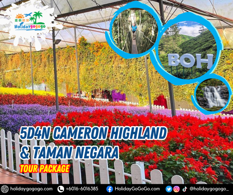 5d4n Cameron Higland & Taman Negara Tour Package