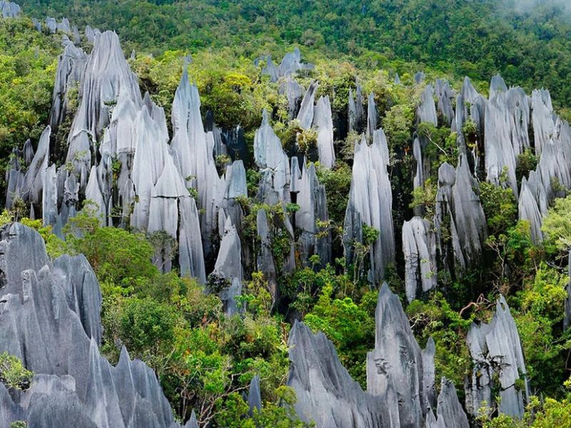 Gunung Api-Mulu Pinnacles