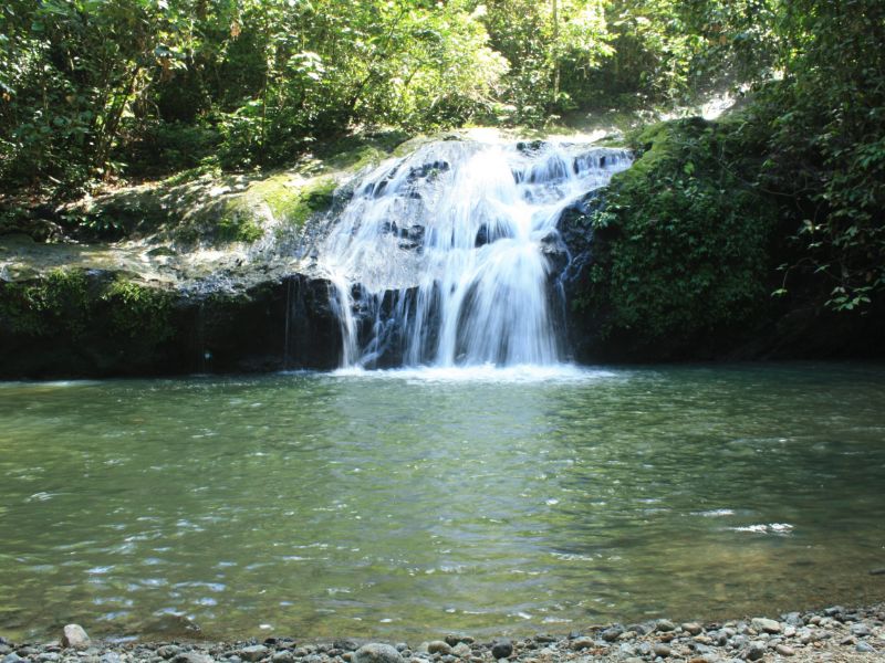 Jacuzzi Pool in Rainforest