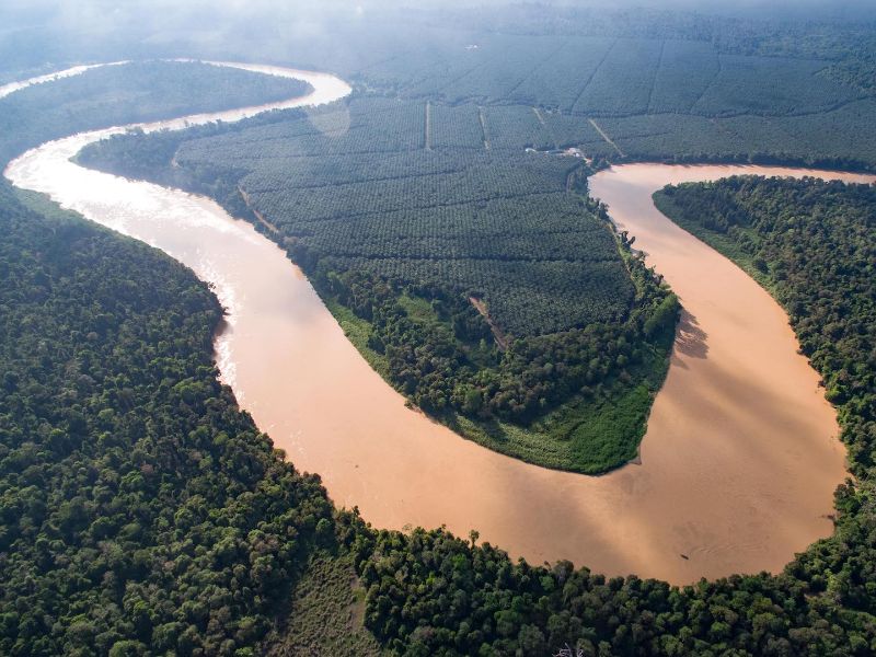 Kinabatangan River Cruise