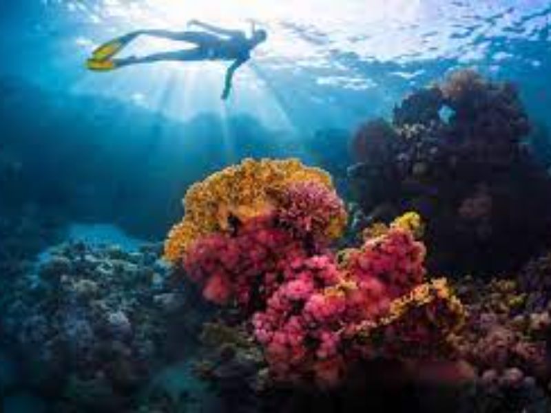 Miri-Sibuti Coral Reefs National Park