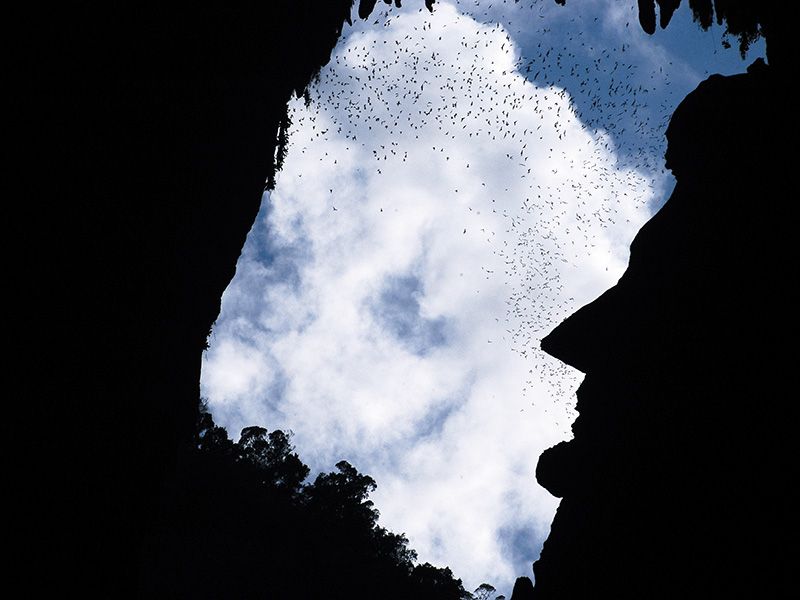 Show Caves in Deer Cave