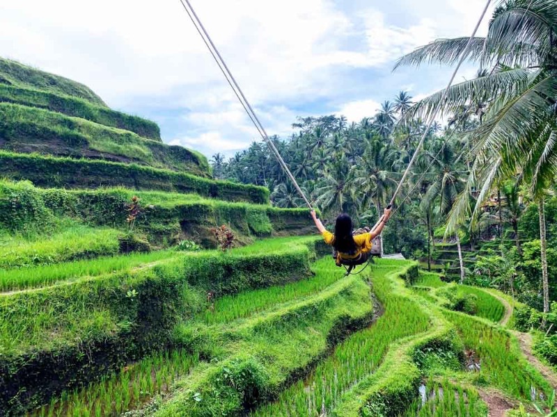 Tegalalang Rice Terrace