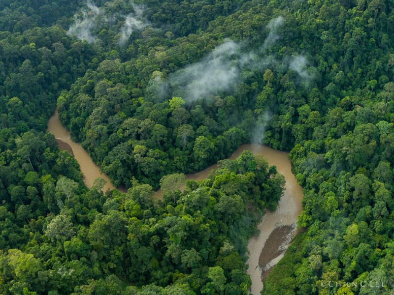 Ulu Temburong National Park