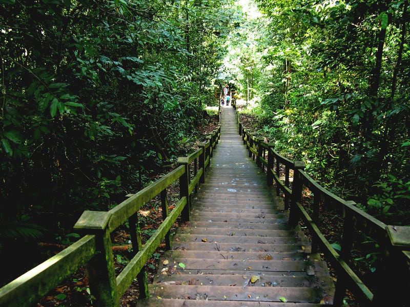 Walk Trail at National Park