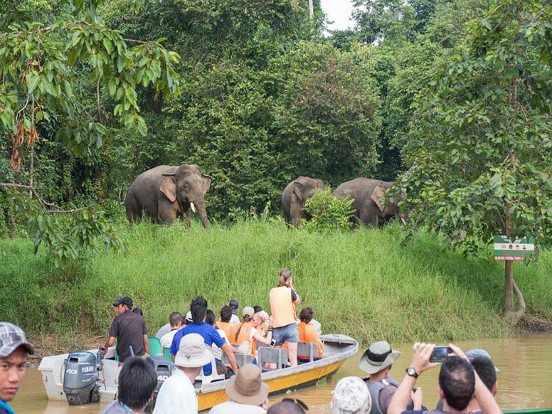 Wildlife Spotting along river cruise