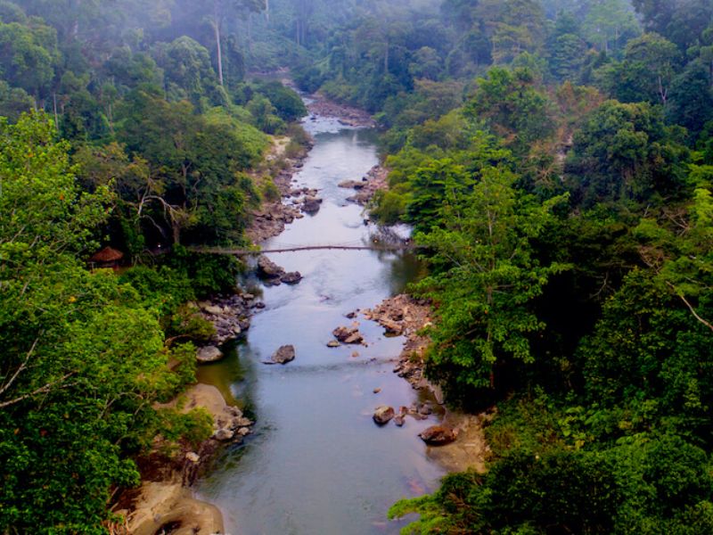 “View Point” of Danum Valley