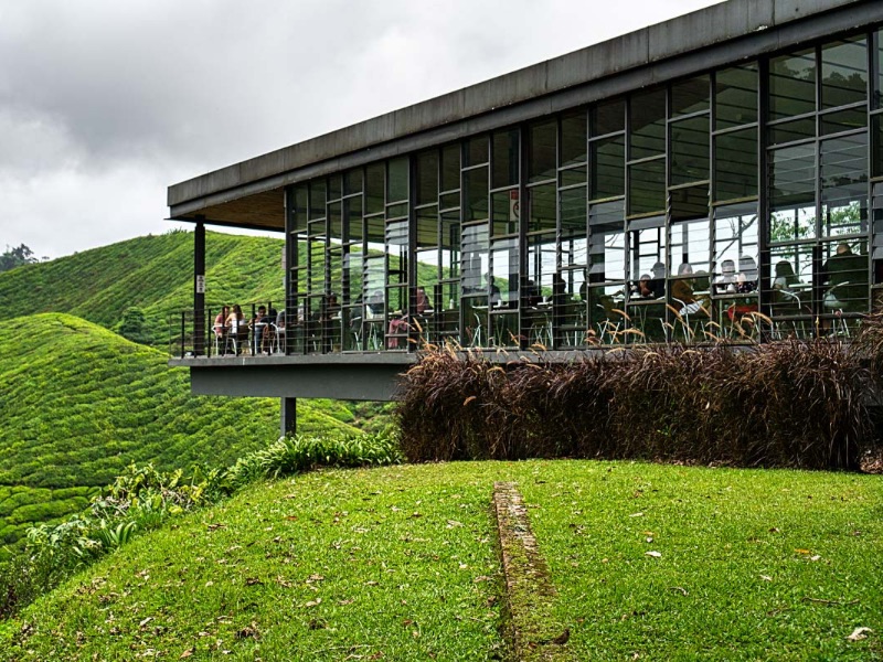 Tea Farm Viewpoint