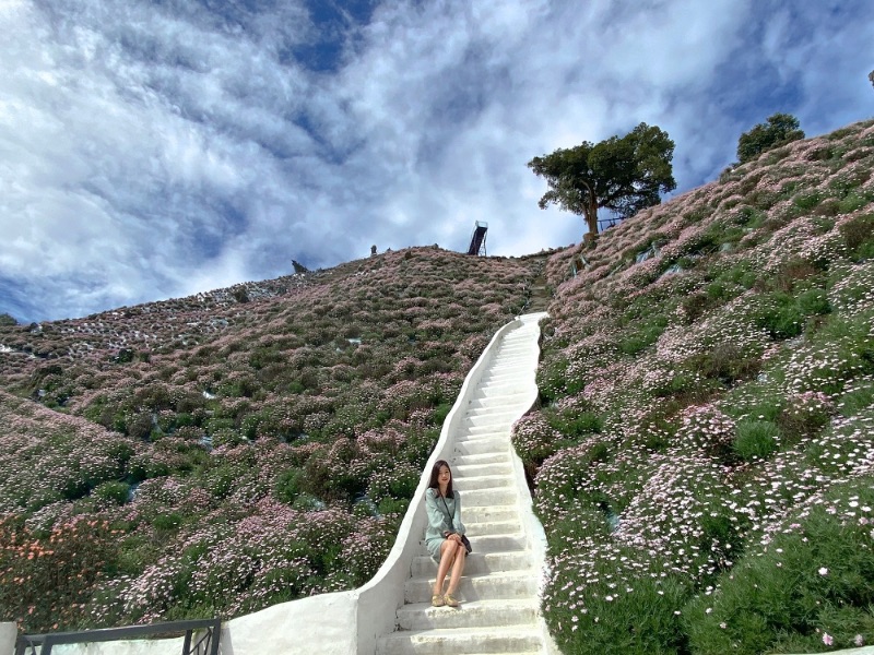 Cameron Highland Flora Park