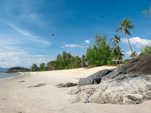 Mounds of sand on a beach with trees and a blue sky in the background 