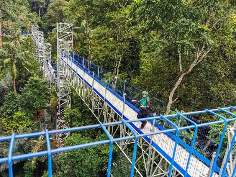 Forest Skywalk – FRIM