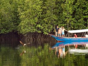 Tourists standing on a boat while watch a bird on the river 
