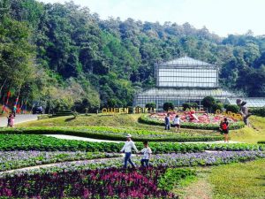 Queen Sirikit Botanical Garden