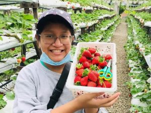 Raju’s Hill Strawberry Farm