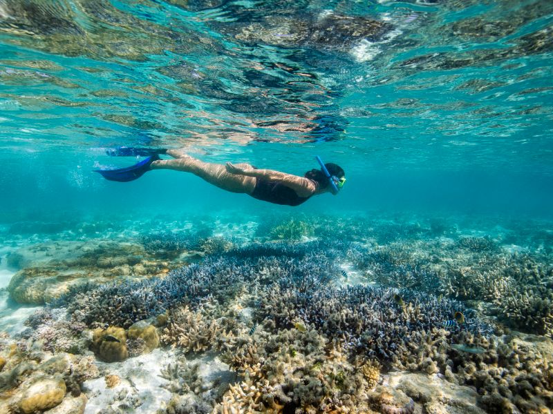 Snorkelling activity 