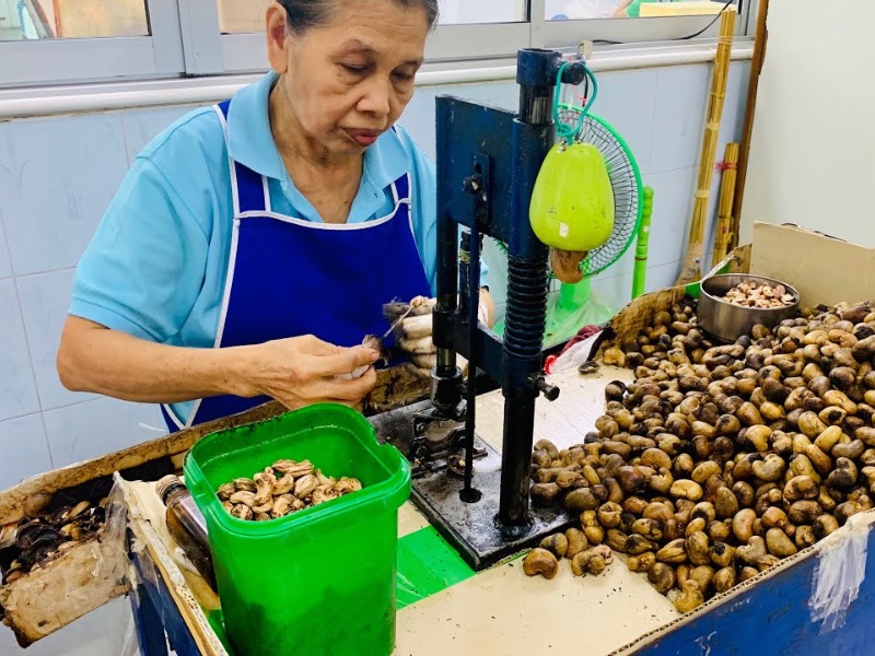 Cashew Nut Factory