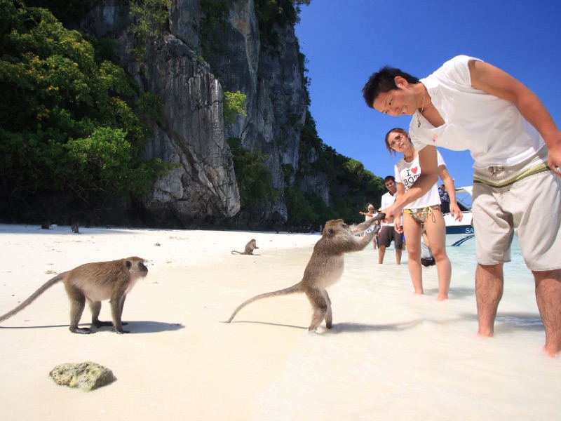 Monkey Beach