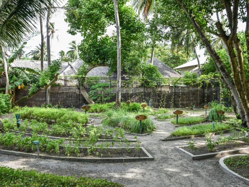 Visit Organic Garden at Island