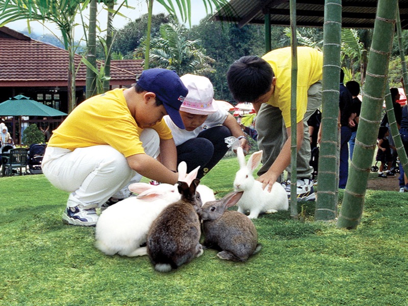 Rabbit Park