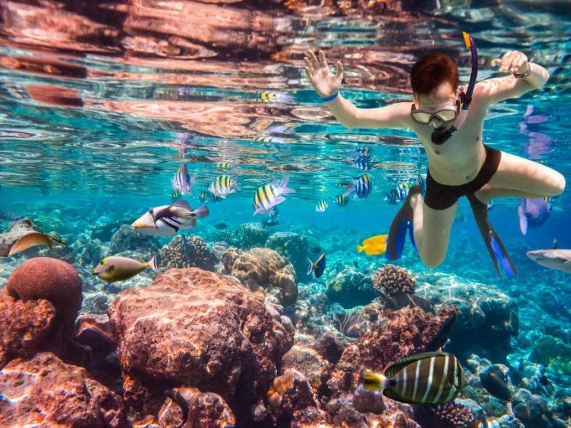 Reef Snorkeling