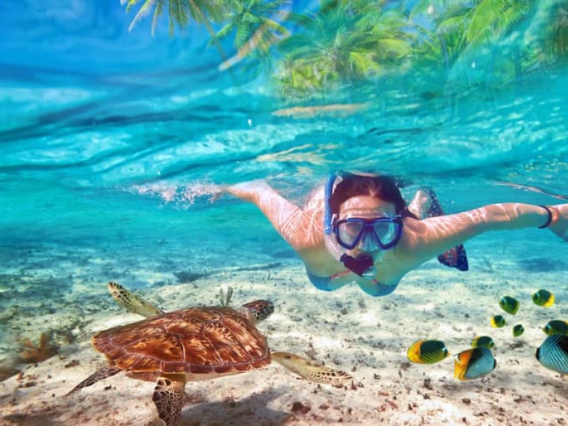 Snorkeling Activity