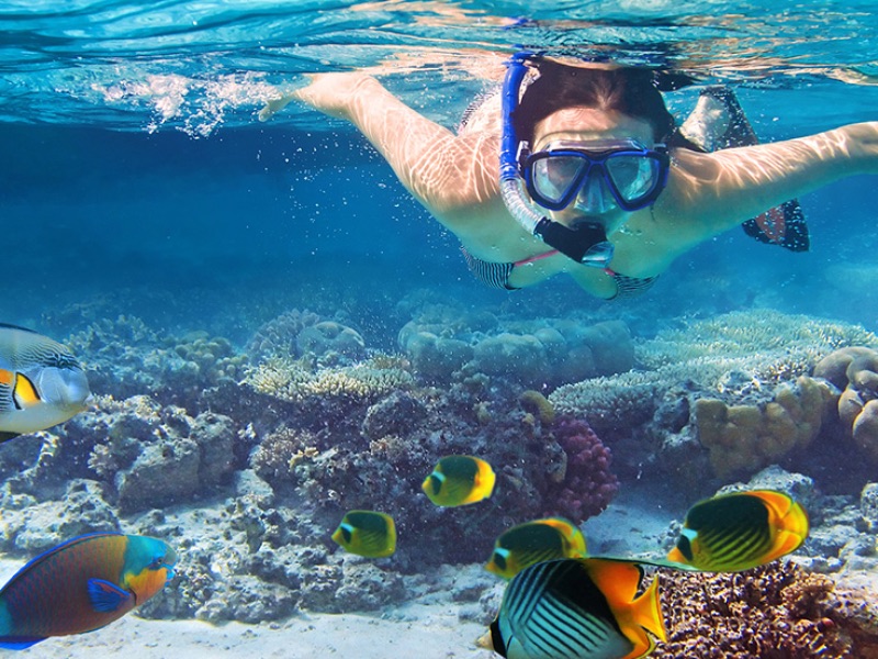 Snorkeling Activity