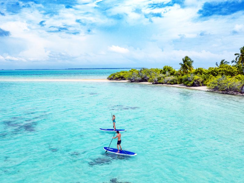 Stand-up Paddle Board activity