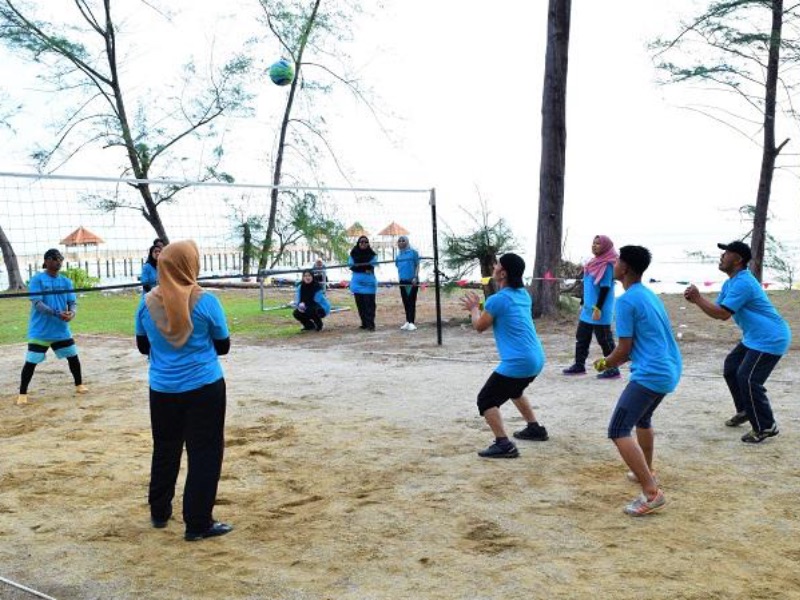 Volleyball Activity