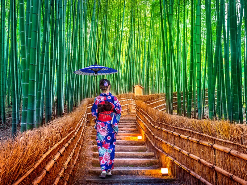 Arashiyama Bamboo