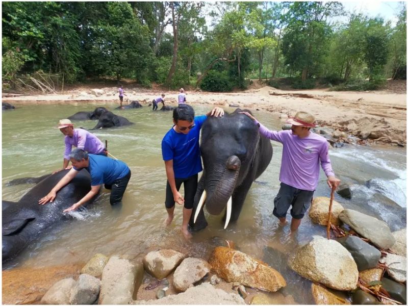 Bath with Elephant